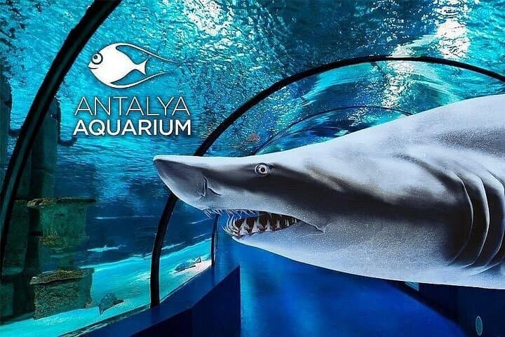 Antalya Aquarium and Fun Park Tour — All-Inclusive Private Visit with Hotel Pickup