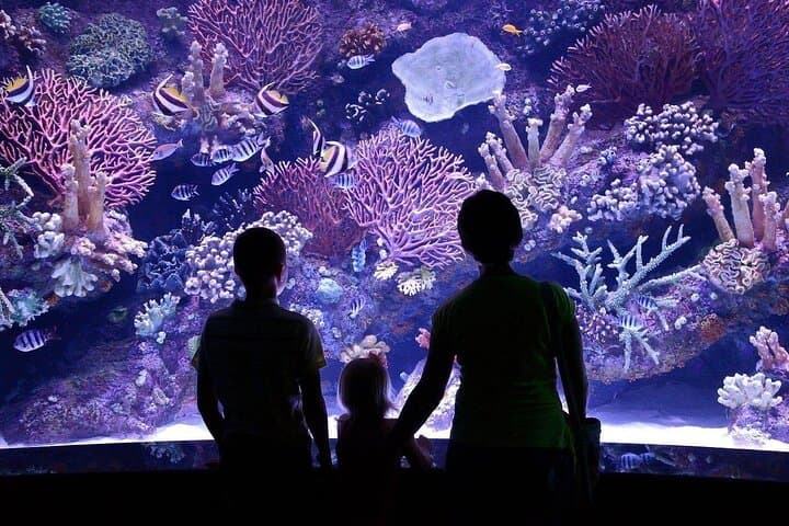 Antalya Aquarium and Fun Park Tour — All-Inclusive Private Visit with Hotel Pickup photo 4