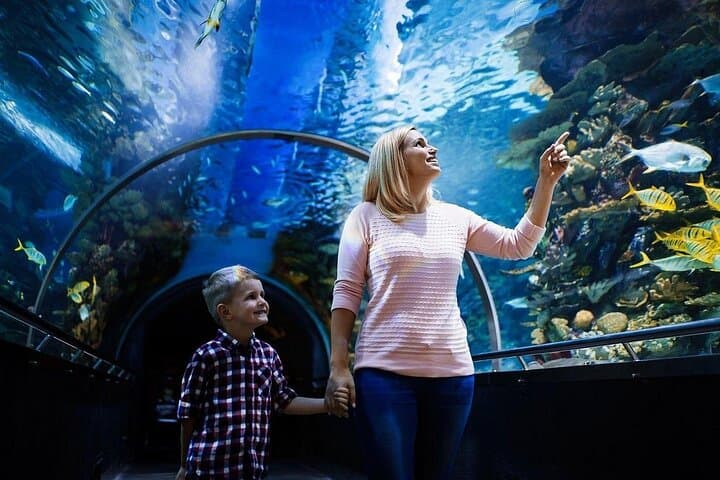 Antalya Aquarium and Fun Park Tour — All-Inclusive Private Visit with Hotel Pickup photo 2