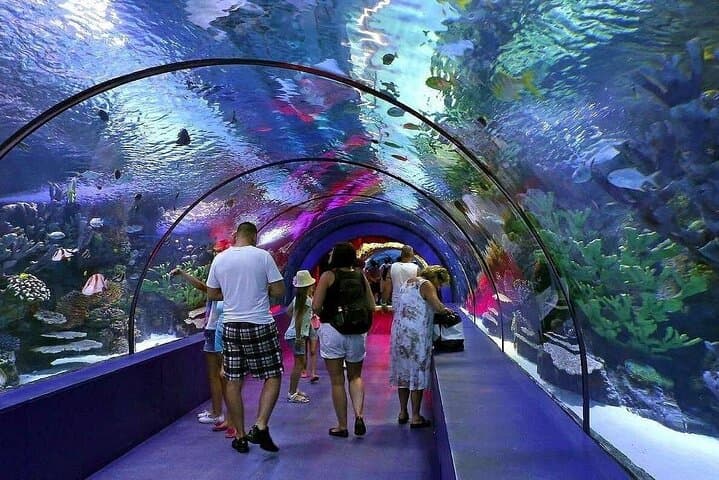 Antalya Aquarium and Fun Park Tour — All-Inclusive Private Visit with Hotel Pickup photo 3