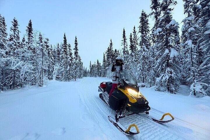 Canmore to Golden: Full-Day Snowmobile Adventure from Banff & Lake Louise photo 3