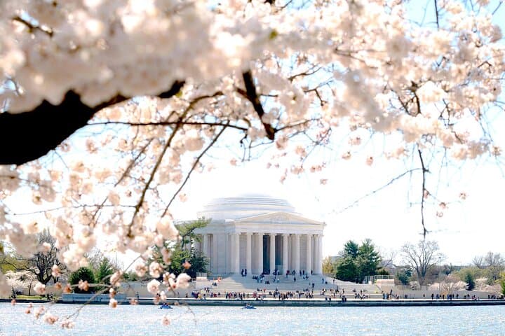 DC Cherry Blossoms Tour: Tidal Basin Walk, Top Monuments & Potomac Boat Cruise