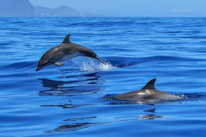 Letojanni Private Boat Tour: Taormina, Isola Bella & Etna from the Sea photo 5