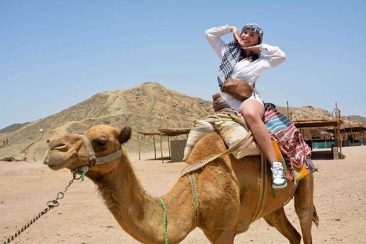 Hurghada Full-Day Super Safari: Desert Quad, Buggy & Bedouin Camp Experience photo 3