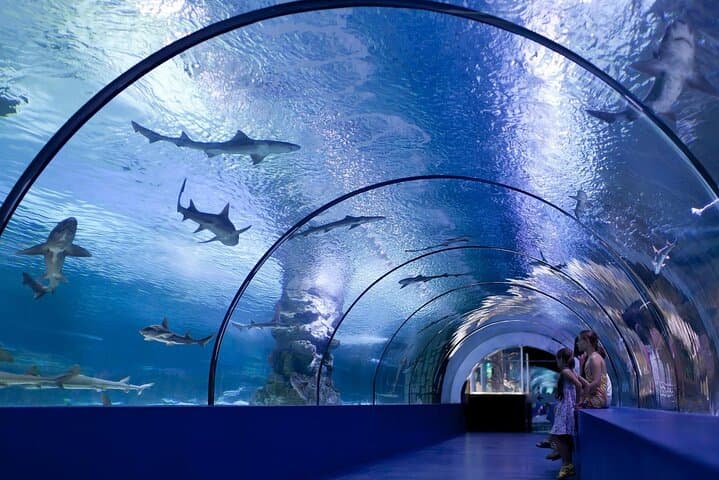 Antalya Aquarium & Fun Park: All‑Inclusive Day Tour from Side with Hotel Pickup photo 3