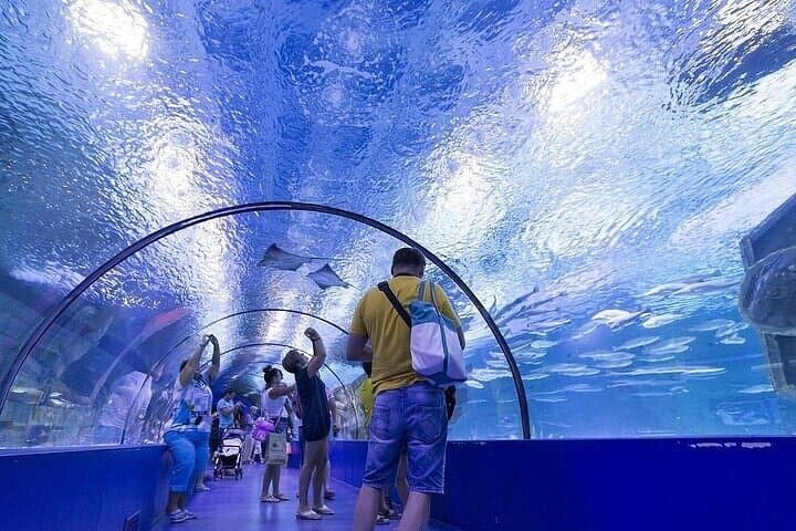 Antalya Aquarium & Fun Park: All‑Inclusive Day Tour from Side with Hotel Pickup photo 6