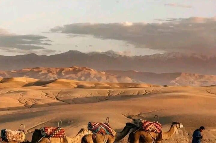 Agafay Desert Camel & Quad Adventure from Marrakech with Dinner and Fire Show photo 4