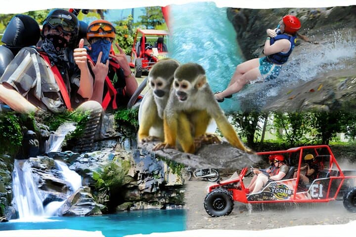 Puerto Plata 3-in-1: Damajagua Waterfalls, Monkeyland & Buggy Adventure