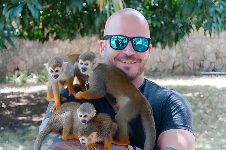 3X1 Adventure: Damajagua Waterfalls, Monkey Encounters & Off‑Road Buggies in Puerto Plata photo 4