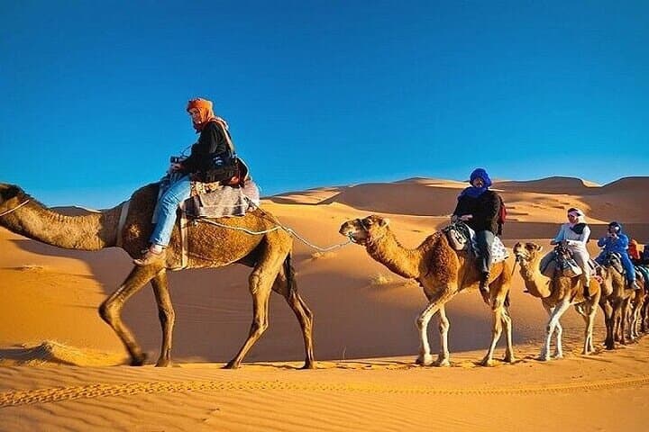 Morning Dubai Desert Safari with 200cc Polaris Ride — Dune Bashing & Camel Rides at Sunrise