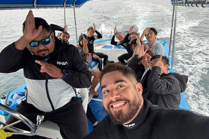 Swim with Whale Sharks in La Paz: Responsible Guided Snorkel Trip photo 2