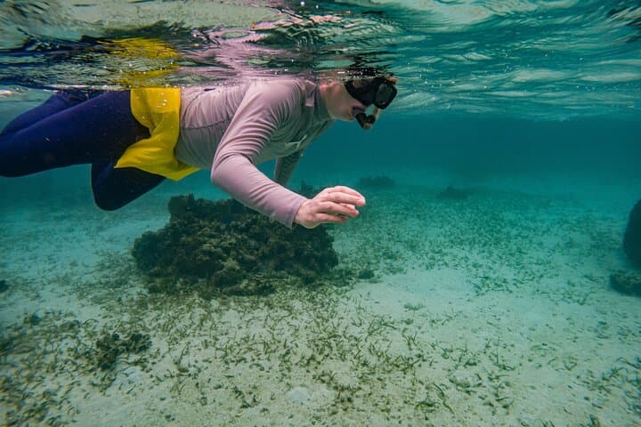 Roatán Private Day: Snorkel West Bay, Wildlife Sanctuary & Resort Access photo 3
