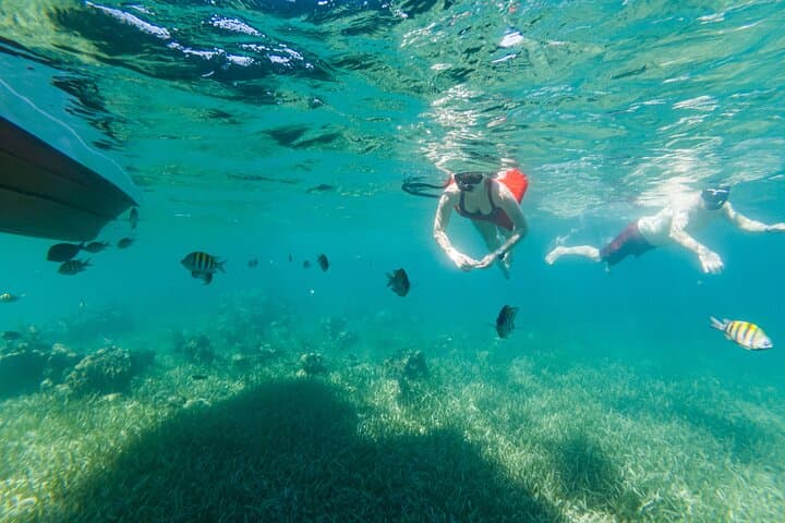 Roatán Private Day: Snorkel West Bay, Wildlife Sanctuary & Resort Access photo 4