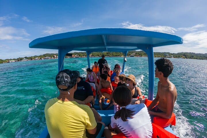 Roatán Private Day: Snorkel West Bay, Wildlife Sanctuary & Resort Access photo 5