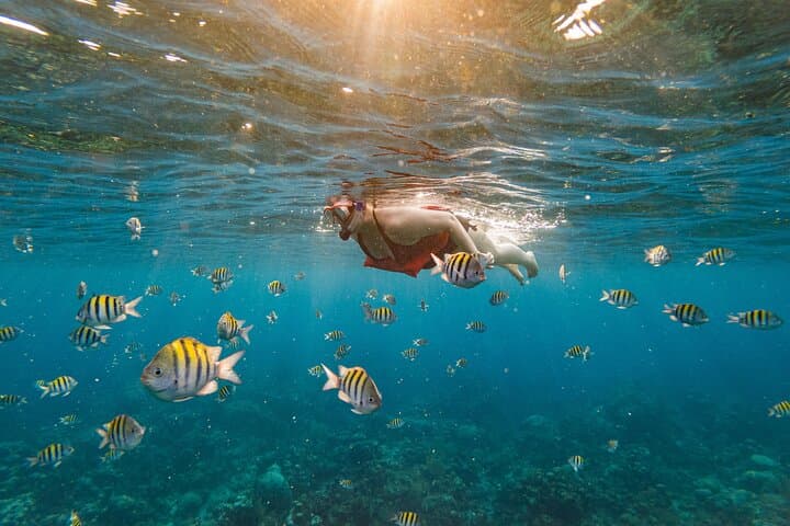 Roatán Private Day: Snorkel West Bay, Wildlife Sanctuary & Resort Access