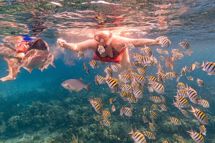Roatán Private Day: Snorkel West Bay, Wildlife Sanctuary & Resort Access photo 6