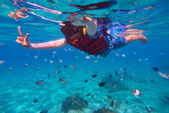 St. John Snorkel Tour from Sapphire & Margaritaville — 6‑Hour Powerboat Adventure photo 4