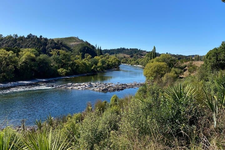 Kayak Split Apple Rock and Cycle the Great Taste Trail: Kaiteriteri to Mapua Full-Day Adventure photo 4