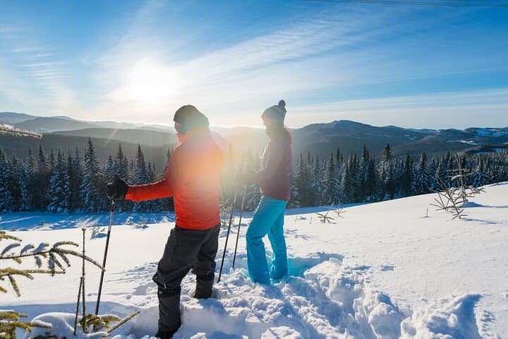 Guided Snowshoeing in Laurentides Wildlife Reserve: Beginner Boreal Trek Near Québec City