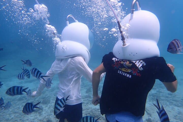 Onna Village Sea Walk Okinawa — Walk the Ocean Floor Among Tropical Fish photo 4