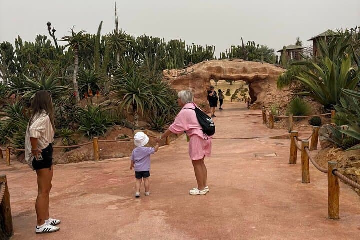 Agadir Crocoparc Family Day Trip: Hotel Transfer & Tickets photo 5