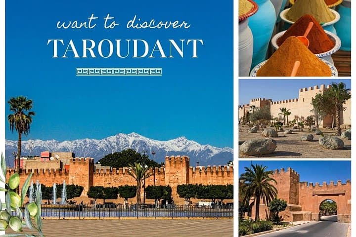Taroudant and Tiout Day Trip: Berber Homestay, Palm-Grove Camel Ride & Taroudant Souk