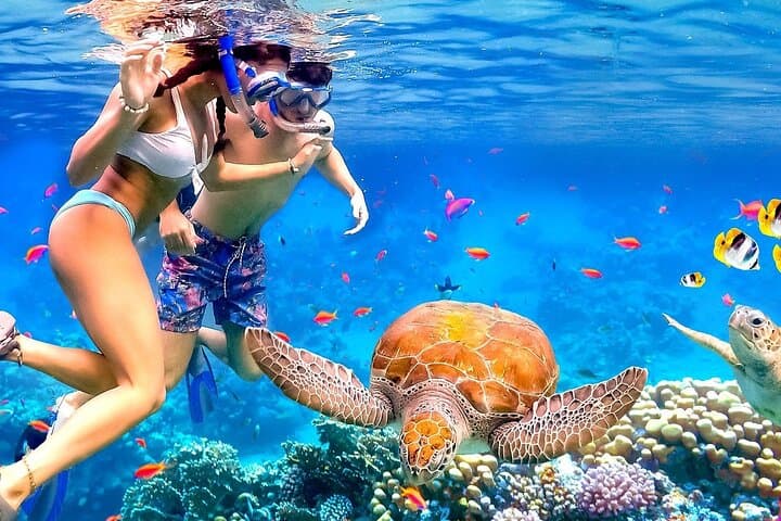 Sail and Snorkel Waikiki: Half-Day Sailing to Hawaiian Reefs photo 4