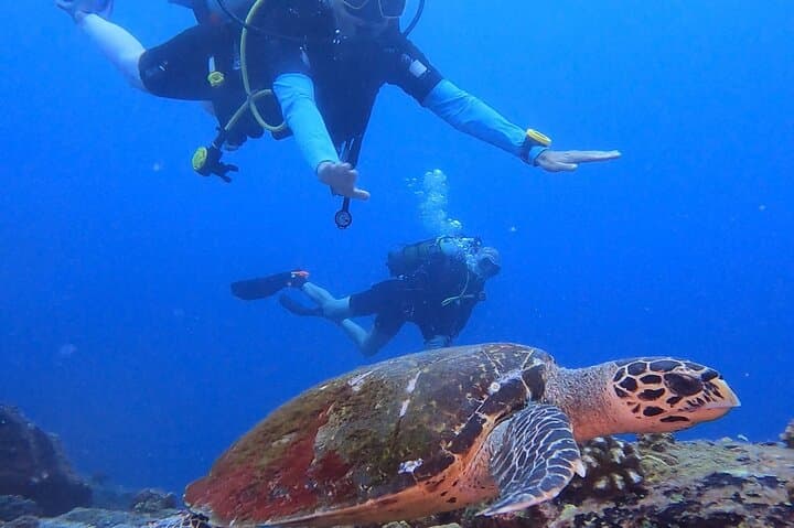 Double Dive Eden Island: Coral Reefs, Wreck and Guided Scuba in Seychelles