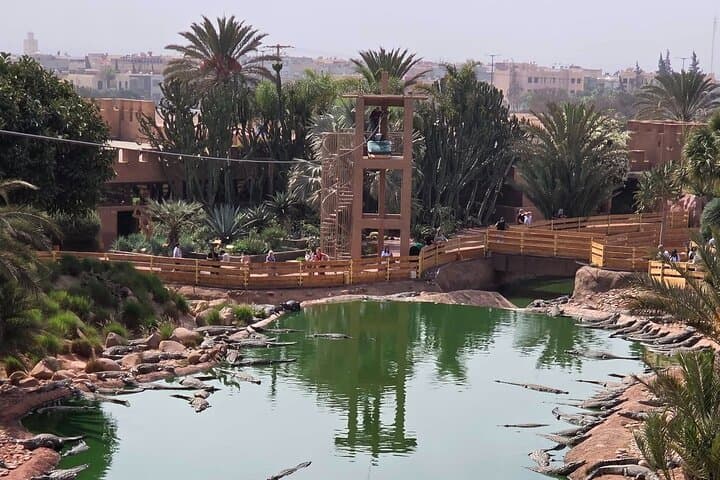 Agadir Crocoparc Family Day Trip: Hotel Transfer & Tickets photo 4