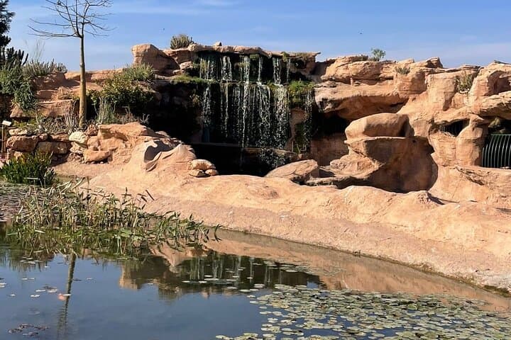 Agadir Crocoparc Family Day Trip: Hotel Transfer & Tickets photo 6