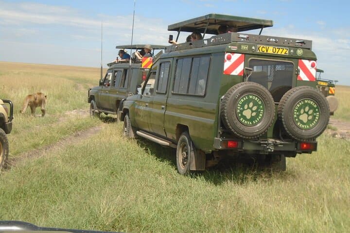 3-Day Masai Mara Group Safari: Big Five, Migration & Maasai Culture