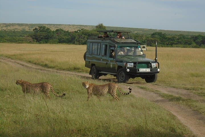 3-Day Masai Mara Group Safari: Big Five, Migration & Maasai Culture photo 3