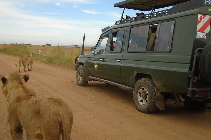 3-Day Masai Mara Group Safari: Big Five, Migration & Maasai Culture photo 2