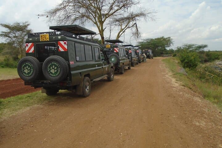 3-Day Masai Mara Group Safari: Big Five, Migration & Maasai Culture photo 5