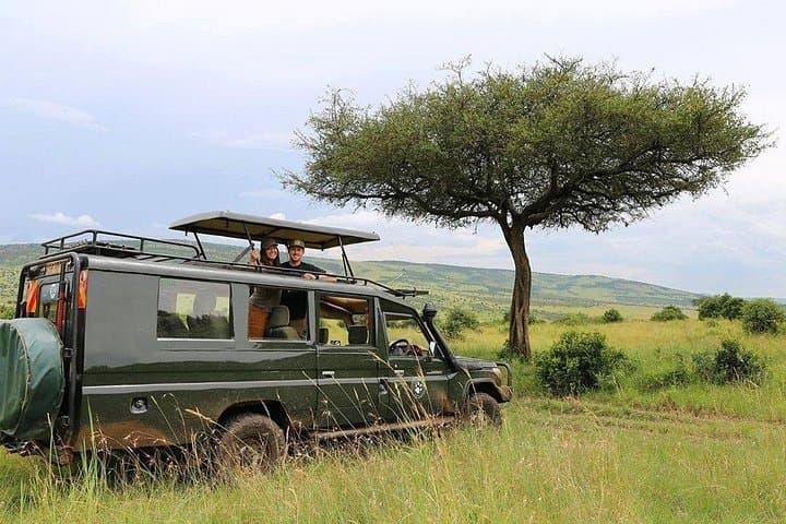 Masai Mara 3-Day Private Safari: 4x4 Jeep Adventure from Nairobi photo 2