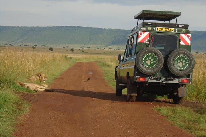Masai Mara 3-Day Private Safari: 4x4 Jeep Adventure from Nairobi photo 3