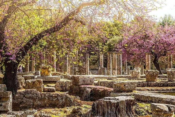 Olympia Shore Excursion from Katakolon: Ancient Olympia Day Trip (4–5 hours) photo 3