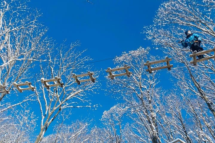 Powder Snow Zip Trip in Hokkaido: Winter Zipline with Transfer from Shimamatsu photo 3