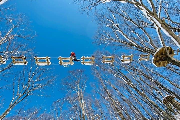 Powder Snow Zip Trip in Hokkaido: Winter Zipline with Transfer from Shimamatsu photo 4