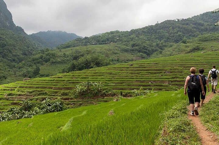 3-Day Pu Luong Nature Tour from Hanoi: Rice Terraces, Villages & Bamboo Rafting