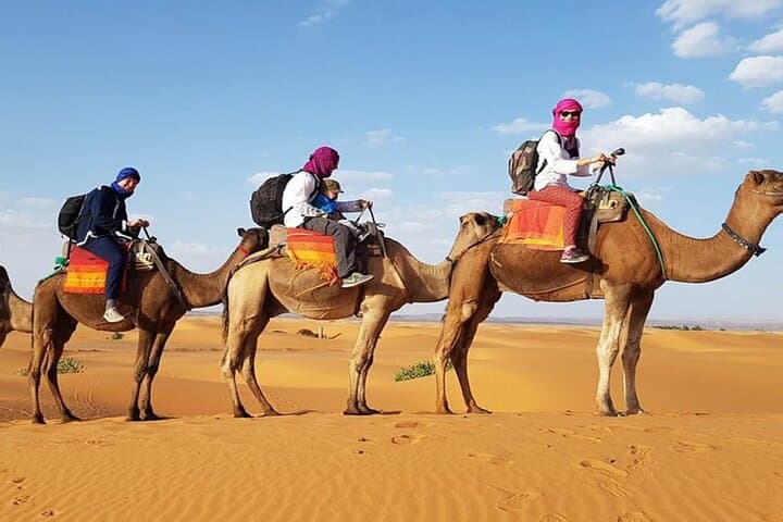 Timlalin Sand Dunes Sandboarding: Half-Day Coastal Adventure from Agadir photo 6