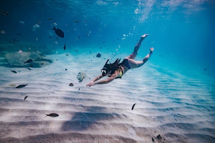 Turtle Spotting Snorkel: Malmok to Tres Trapi — Aruba's Gentle Turtle Corridor photo 2