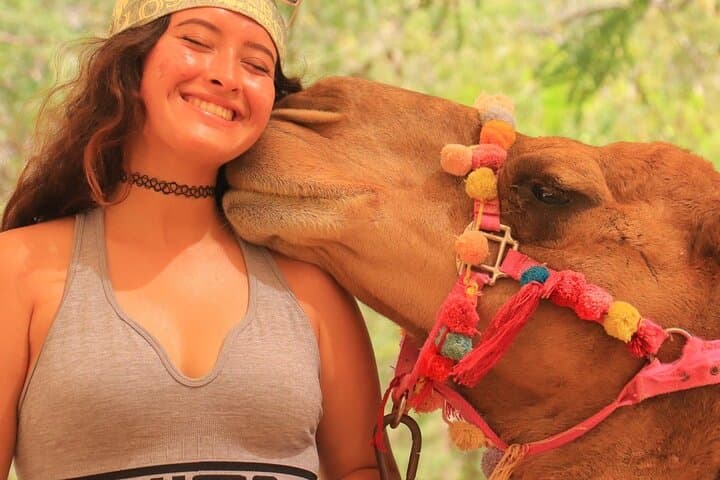 Marsa Alam 3-Hour Quad Bike Desert Adventure – Dune Drives & Bedouin Tea photo 1