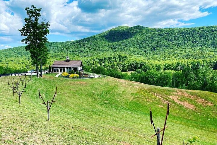 Helen Hike: Wine-and-Dine Private Tour from Atlanta to Anna Ruby Falls photo 6