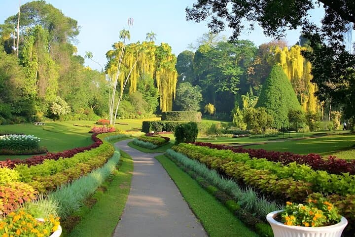 Kandy and Scenic Highlands 5-Day Journey: Culture, Tea Trails & Riverston Views photo 2