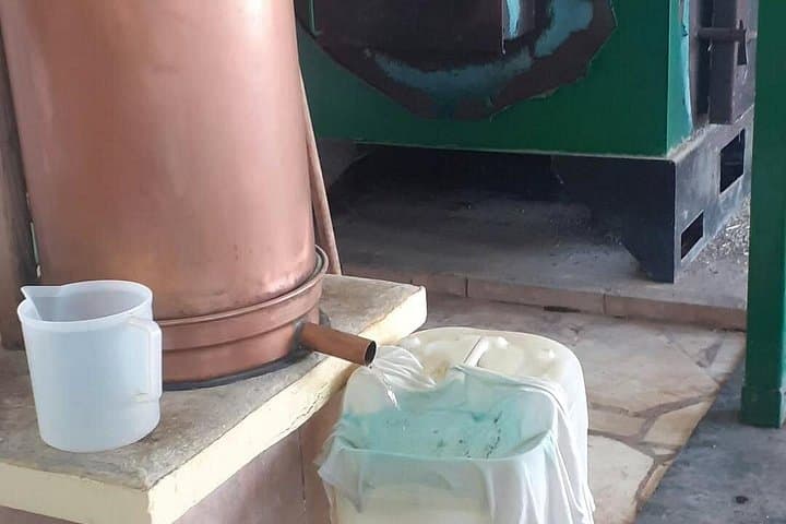 Knossos Palace, Olive Oil & Raki Day Tour from Heraklion photo 4