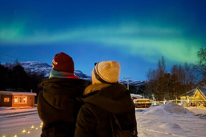 Chasing the Aurora in Alta: Northern Lights Hunt with Arctic Animal Visit photo 5