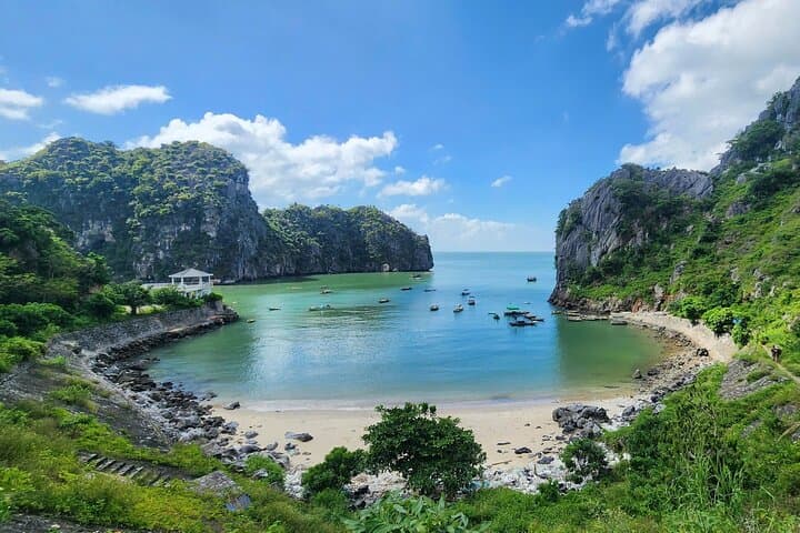 Half-Day Cat Ba Jungle Trail and Hidden Cave Guided Tour photo 5