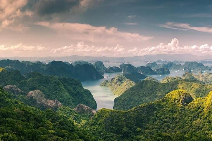 Half-Day Cat Ba Jungle Trail and Hidden Cave Guided Tour photo 2