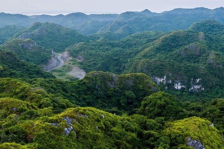 Half-Day Cat Ba Jungle Trail and Hidden Cave Guided Tour photo 6